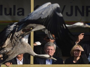 Two cranes fly past as Prime Minister Stephen Harper and Laureen Harper take a tour of the future site of the Stephen J. Harper Hula Valley Bird Sanctuary Visitor and Education Centre in Hula valley, Israel on Wednesday, January 22, 2014.