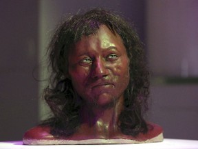 Full facial reconstruction model of a head based on the skull of Britain's oldest complete skeleton on display during a screening event of The First Brit: Secrets Of The 10,000 Year Old Man at The Natural History Museum, in London Wednesday Feb. 7, 2018. DNA from a 10,000-year-old skeleton found in an English cave suggests he had dark skin and blue eyes. Scientists from Britain's Natural History Museum and University College London have analyzed the genome of "Cheddar Man," who was found in Cheddar Gorge in southwest England in 1903.