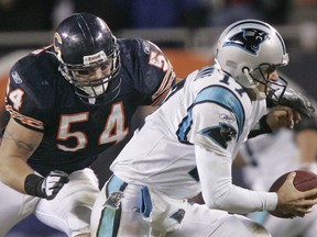 FILE - In this Jan. 15, 2006, file photo, Chicago Bears' linebacker Brian Urlacher (54) attempts to sack Carolina Panthers' quarterback Jake Delhomme (17) in the third quarter of their NFC divisional playoff football game in Chicago. Urlacher was elected to the Pro Football Hall of Fame on Saturday, Feb. 3, 2018.