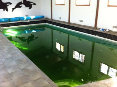 Prior to renovation, the addition to a home in Ottawa's Qualicum-Redwood neighborhood had a large indoor swimming pool, which had seen better days.