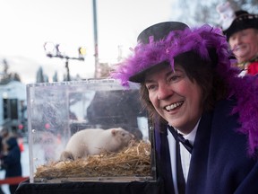 Wiarton mayor Janice Jackson interacts with Wiarton Willie in Wiarton, Ont., on Friday, Feb.2, 2018. Wiarton Willie predicted six more weeks of winter.