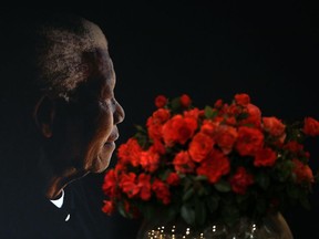 A posy of Mandela roses placed in front of a portrait of Nelson Mandela by the Nelson Mandela foundation, which promotes Mandela's legacy. The foundation showed off athe rose at its headquarters in Johannesburg, South Africa, Thursday, Feb. 8, 2018. The Mandela rose is expected to be sold locally and internationally and proceeds will go to the foundation. Its CEO, Sello Hatang, says Mandela appreciated gardening and cared for the environment.