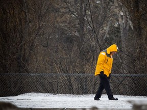 This dejected head down look is becoming familiar around Ottawa as winter won't leave.