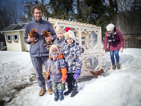 Carmen and Matthew Chase show off their three chickens their family has in the backyard of their Gatineau home Sunday March 4, 2018. Two-year-old Errol, five-year-old Ewan and seven-year-old Edmund pose with their dad as Carmen gets the third chicken who just wasn't ready for a photo shoot.