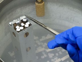 A container holding racks of frozen oocytes, or immature egg cells, are shown being pulled up from a liquid nitrogen storage tank.