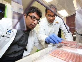 Dr Kumanan Wilson, left,  and Dr. Pranesh Chakraborty are part of a study to analyze data newborns' blood to better understand pre-term birth around the world.
