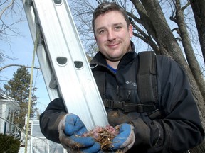 Sean Robertson, President of Get 'Em Out Wildlife Control in Ottawa, holds on to three baby squirrels taken from the attic of a home in Manotick. Spring is the time of year when mothers are trying to keep their babies warm, squeezing into tiny gaps in your roof to nest.