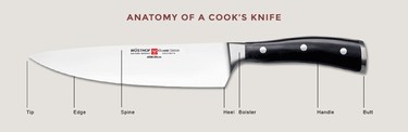 anatomyOfCooksKnife