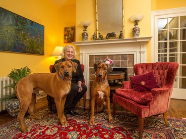 At home with architect Sarah Murray and her 100-year-old cottage in Rockcliffe  Her two dogs are Rhodesian Ridgebacks named Roo and Guinness.