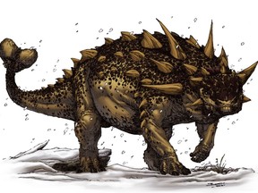 Euoplocephalus (ankylosaur)