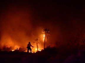 In this Monday, March 26, 2018 photo provided by Steve Raines, a firefighter works at the scene of a fire that broke out at Joshua Tree National Park, damaging a historical landmark. The National Park Service said the fire that broke out late Monday damaged the Oasis of Mara, a site settled by Native Americans who planted the 29 palm trees that inspired the name of the city of Twentynine Palms.