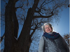 Lynn Griffiths is the owner of a cottonwood tree in the back yard of 63 Rochester St. Due to it's age, 118 years, and condition, it will be cut down in the next few days.