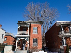 Lynn Griffiths' tree seen rising up behind homes on Rochester Street.