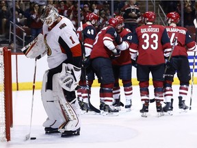 Senators netminder Mike Condon pulls the puck from the net as Coyotes players celebrate what turned out to be the game-winning goal by Jordan Martinook (48) in the second period.