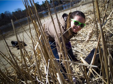 Warmer temperatures hit Ottawa Sunday April 22, 2018 and people were out and about enjoying the sunshine at Mooney's Bay Park. Heather Jeffery, the owner of Re4m was the organizer behind a clean up at Mooney's Bay for Earth Day. Jeffery is hopeful to make in an annual event. This year 30-40 people came out Sunday morning and helped clean up the park, collecting about 250lbs of garbage.