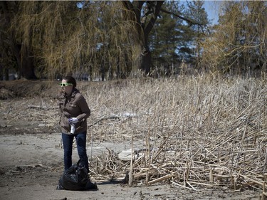 Warmer temperatures hit Ottawa Sunday April 22, 2018 and people were out and about enjoying the sunshine at Mooney's Bay Park. Heather Jeffery, the owner of Re4m was the organizer behind a clean up at Mooney's Bay for Earth Day. Jeffery is hopeful to make in an annual event. This year 30-40 people came out Sunday morning and helped clean up the park, collecting about 250 lbs of garbage.