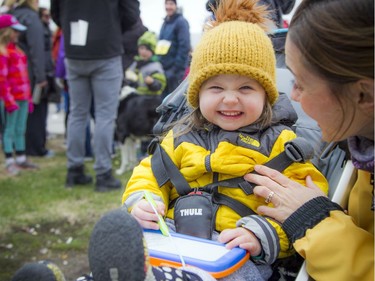 The Ottawa MS Walk took place Sunday April 29, 2018 with a 2.5km and a 5km option. Two-year-old Maeve Bickford with her mom Natasha Hawley who were on team Joggers for Judy. Judy was Natasha's aunt who passed away from MS 2 years ago.