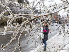 A woman walks past an ice covered tree branch on Lisgar Street in Ottawa. April 16,2018.