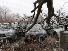 A broken tree branch due to the ice storm in Ottawa hit some new Mini cars at the Mini car dealership on Carling Ave, April 16, 2018.