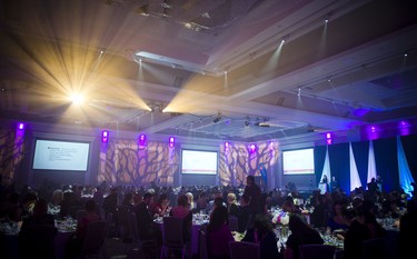 The Businesswoman of the Year Awards at the Infinity Convention Centre were divided up into four categories: Professional, Emerging Entrepreneur, Established Entrepreneur and Organization.