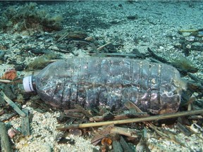 (FILES) In this file photo taken on May 1, 2017 shows a discarded plastic bottle in the Port-Cros natural park.  Researchers in the US and Britain have accidentally engineered an enzyme which eats plastic and may eventually help solve the growing problem of plastic pollution, a study said on April 17, 2018. More than eight million tons of plastic are dumped into the world's oceans every year, and concern is mounting over this petroleum-derived product's toxic legacy on human health and the environment.