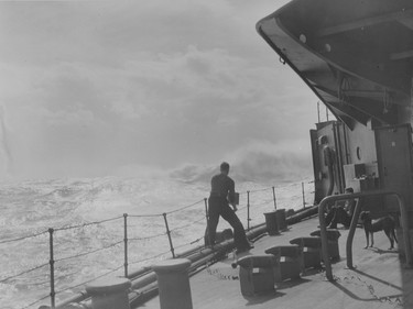 Charlie Beddoe, an Ottawa born combat photographer and Dday witness. These are some of his pictures from the war  Handouts supplied to Andrew Duffy 0419 obit-beddoe