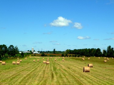 Picturesque Lanark County is the ideal location to cycle on quiet country roads.