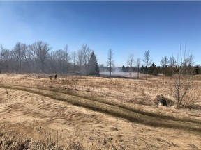 A grass fire erupted Saturday on Franktown Road near Munster.