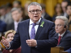 Minister of Public Safety and Emergency Preparedness Ralph Goodale rises during Question Period in the House of Commons on Parliament Hill in Ottawa on Tuesday, April 17, 2018. Goodale is rejecting a call from MPs to spell out explicitly in law when and how border agents can search travellers' smartphones and other electronic devices at the border.THE CANADIAN PRESS/Justin Tang