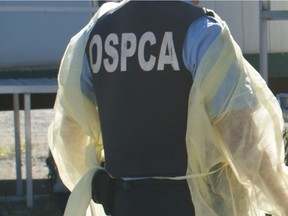An Ontario SPCA worker.