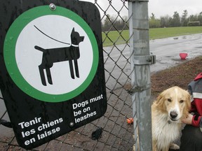 Gatineau council is to vote next month on a proposal to allow leashed dogs in 258 parks, 10 times the current number of approved spots.