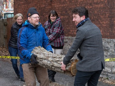 David Stapley from the Valley Wood Turners (L) and Stephen Cook (R) carry a limb that will become o\among other things, a bowl for Lynn Griffiths, as the 118 year old Cottonwood tree behind 63 Rochester St. which is being cut down after much deliberation as to whether or not the tree is a danger to the neighbouring properties.