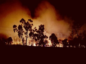 Hundreds of firefighters were battling a large bushfire that burnt near Sydney homes.