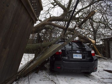 A car damaged by a fallen tree branch is shown in Toronto, Monday, April 16, 2018. Tens of thousands of people across southern and central Ontario remained without power Monday morning as the province's massive ice storm transitioned to drenching rain.