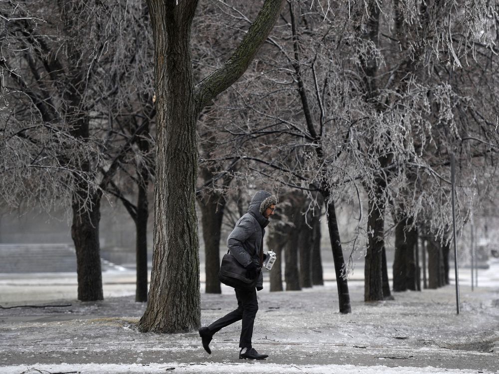 Freezing Rain In Ottawa Causes Traffic Delays, Power Outages | Ottawa ...