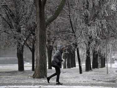 A man passes ice laden trees as a storm brings freezing rain in Ottawa on Monday, April 16, 2018.