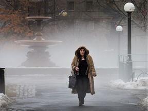 Bahie Daoud walks through Confederation Park with fog hanging over the snow.