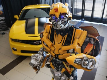 Bumblebee of Transformers was at the opening day of Comiccon, May 11, 2018.