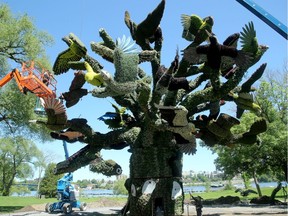 Workers water and assemble  The Bird Tree, which pays homage to 56 species of bird that are endangered.
