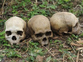 Human skulls lie on March 24, 2014 in the southweatern Nigerian city of Ibadan, on the bush path where rotting bodies and skeletons were discovered in an abandoned building. The grisly discovery came after a group of motorcycle taxi riders reported that some of their members had gone missing and were believed to have been kidnapped.