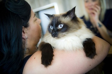 Ashley White with Timmy, the Ottawa Humane Society's Enriching Lives program therapy cat.