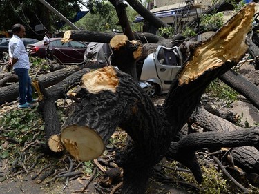 An Indian onlooker stands near a car damaged by a fallen tree after a dust storm in New Delhi on May 16, 2018.