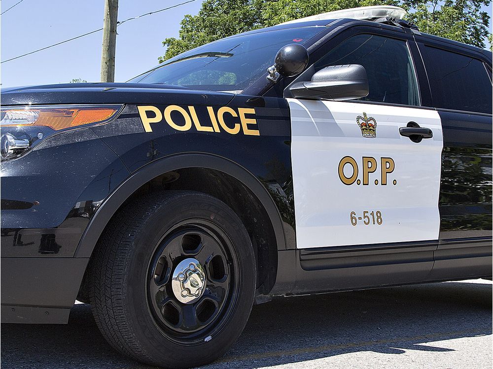 Pembroke man faces drug, weapons charges following OPP raid | Ottawa ...