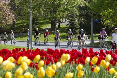 Every Sunday morning, enjoy over 50 kilometres of car-free parkways in Ottawa and Gatineau Park.