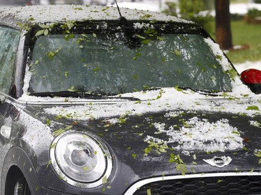 Leaves stripped from a tree by marble-sized hail litter a convertible after a spring storm packing heavy rains and hail hit Monday, May 14, 2018, in southeast Denver. The high-powered storm swept over the area and dumped large amounts of marble-sized hail and heavy rain, snarling traffic in densely-populated parts of the metropolitan area.