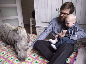 Mario Ramos and his daughter Rose-Elisabeth are seen in the family apartment with their pet pig Babe Thursday, April 19, 2018 in Montreal.