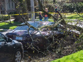 A Maserati parked on Golfdale Rd, near Yonge St. and Lawrence Ave., in Toronto, was badly damaged as strong winds uprooted trees and knocked out power in Toronto and across Ontario.