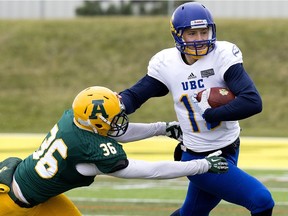 University of Alberta Golden Bears' Josh Taitinger (36) chases the UBC Thunderbirds' Michael O'Connor (15) during a game in 2015.