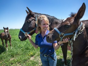 Farm manager Karen Ryan visits with Henrika and her foal currently only named as #4 as the spring crop of about a dozen foals at the RCMP musical ride's breeding farm near Pakenham have been named in a contest by the public.