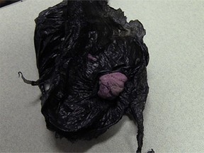 The Ottawa Police Service Drug Unit is advising Ottawa residents that a purple putty-like substance possibly containing Fentanyl was found in Ottawa yesterday during the execution of a warrant.